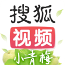 搜狐视频app